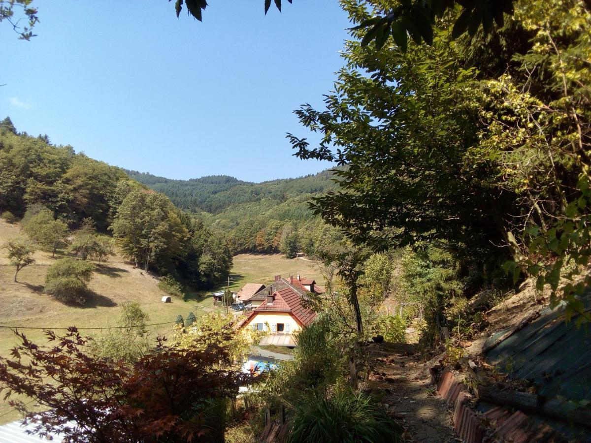 Abri De Jardin Amenage, Chambre Camping Glamour Hotel Lalaye Exterior photo